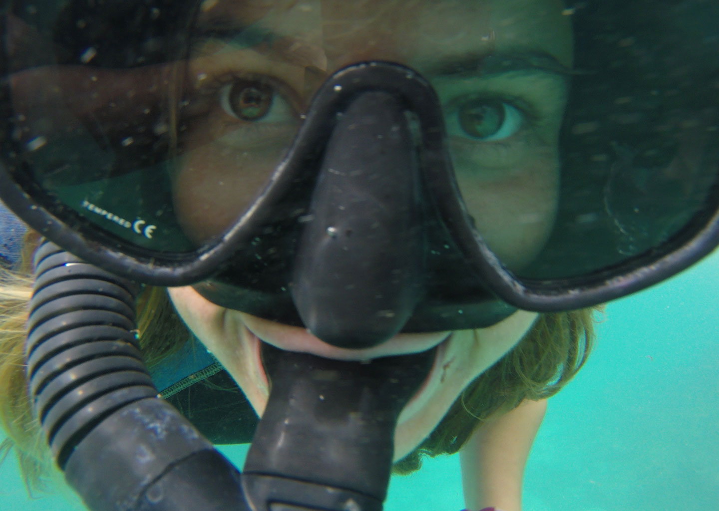 Close up of a snorkelling mask.