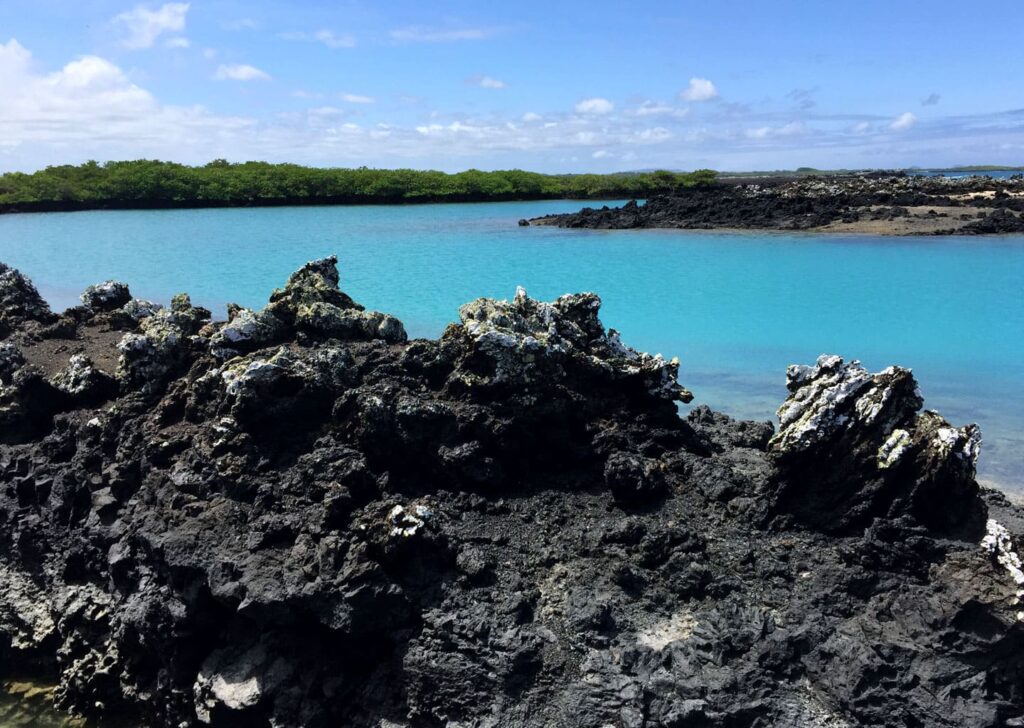 Beautiful view of the sea surrounded by volcanic rocks on Isabela Island.