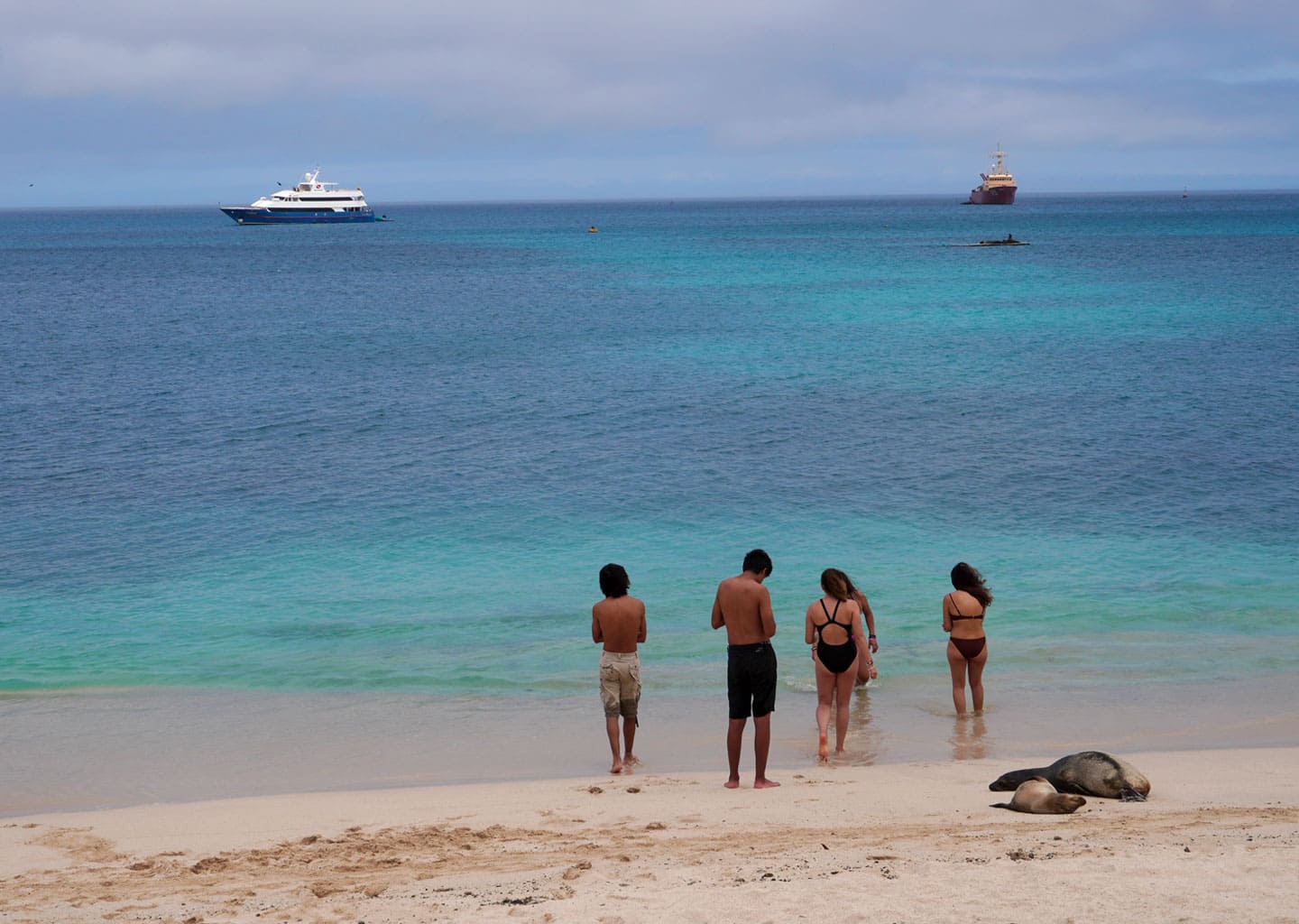 Group of teenagers walking towards the sea on a Galapagos beach, observing a sea lion resting on the sand. The image shows the unique proximity to the wildlife.