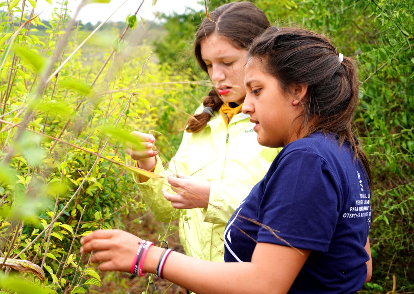 Two teenage volunteers closely examining and monitoring native Galapagos vegetation as part of an environmental conservation project.