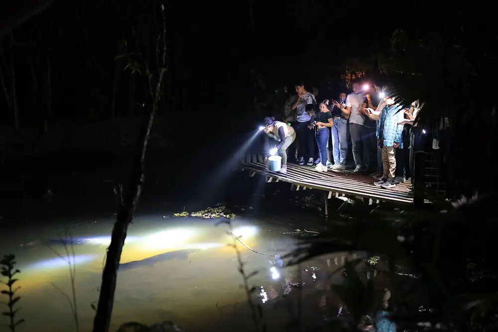 Teens performing nocturnal wildlife monitoring during Amazon camp in Ecuador