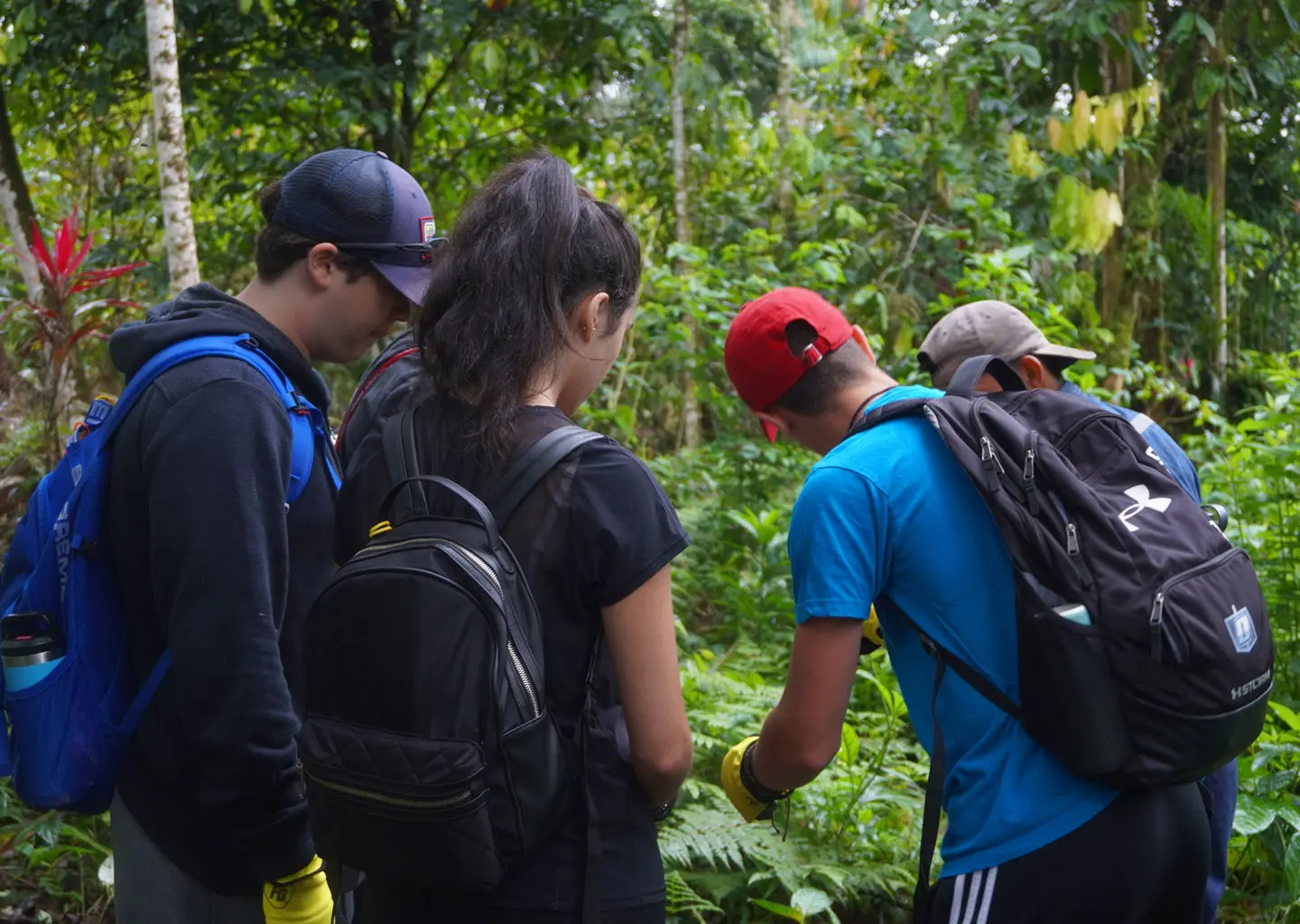 Teen volunteers learning and exploring the Amazon rainforest during conservation activities in Ecuador Teen Camp
