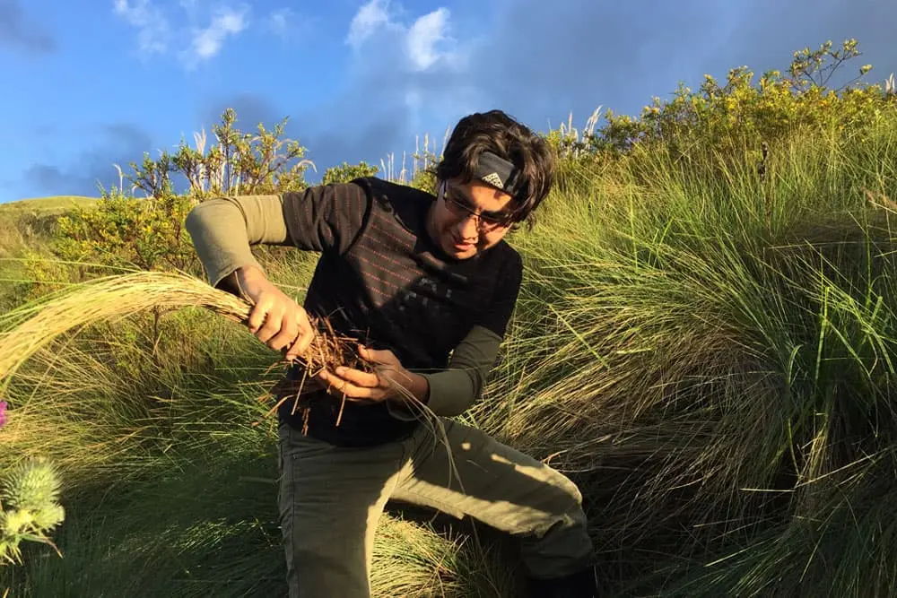 Teen participant gathering natural Andean grasses for traditional community activities