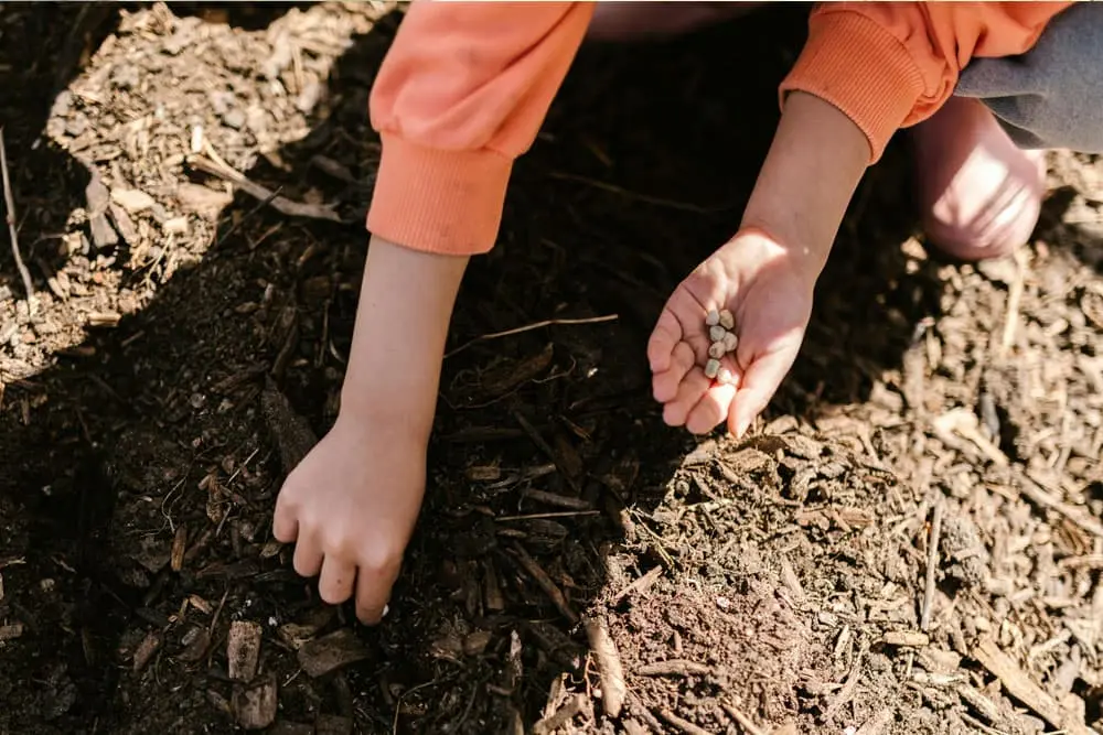 Teen participant learning natural fertilizer production during a sustainability program