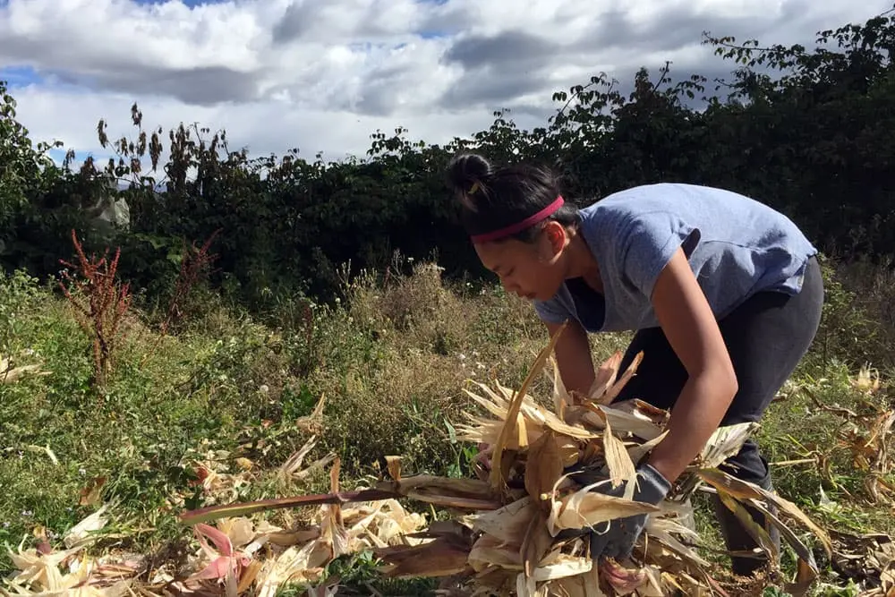 Teen volunteer participating in sustainable agriculture work in the Ecuadorian Andes