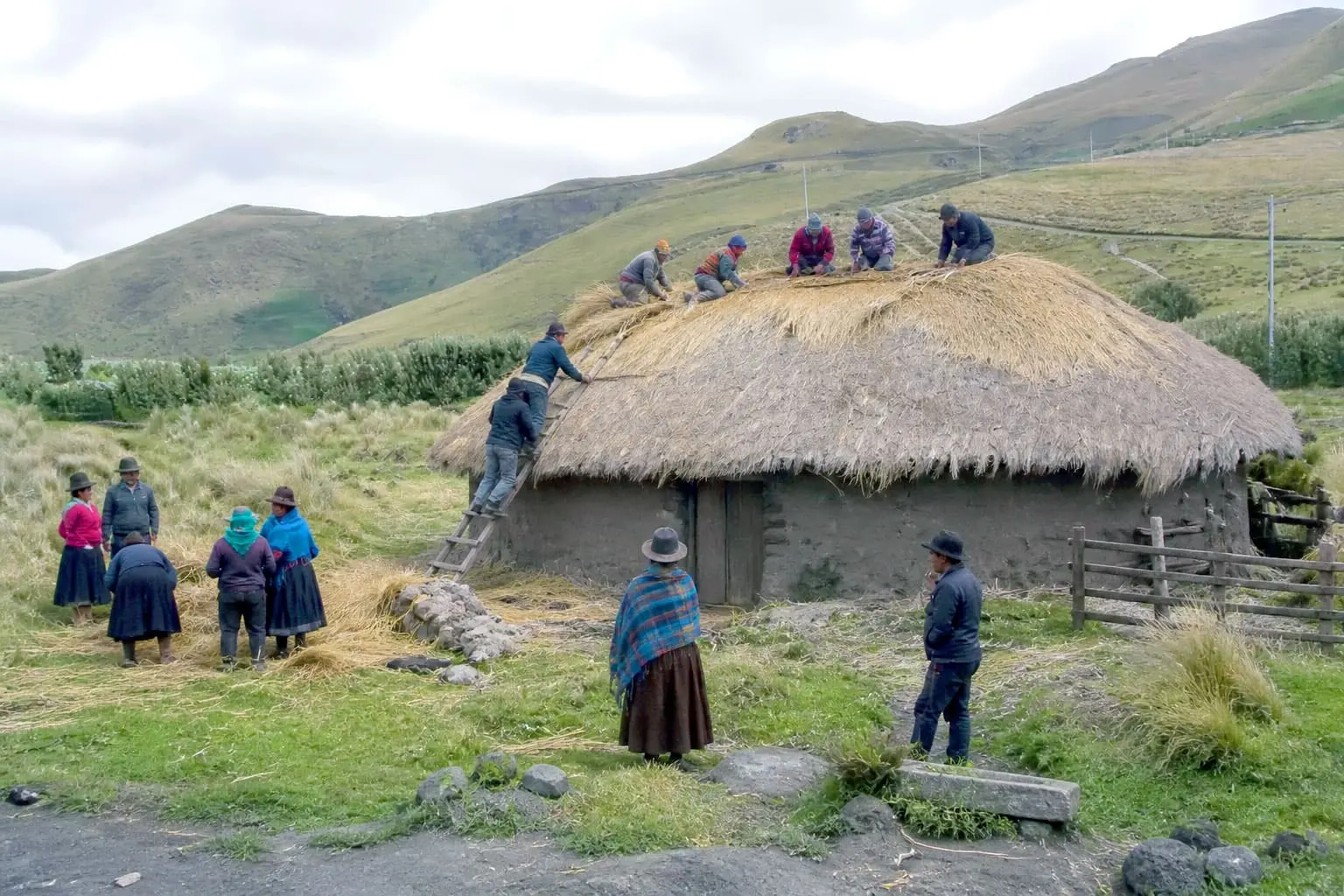 Indigenous community restoring a traditional straw roof in the Ecuadorian Andes